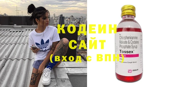 2c-b Инсар