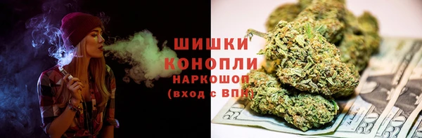 МДПВ Каменногорск