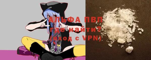 МДПВ Каменногорск