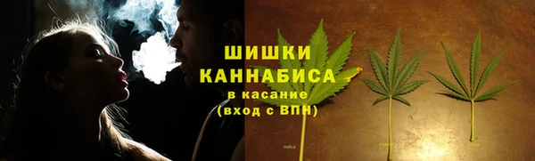 МДПВ Каменногорск
