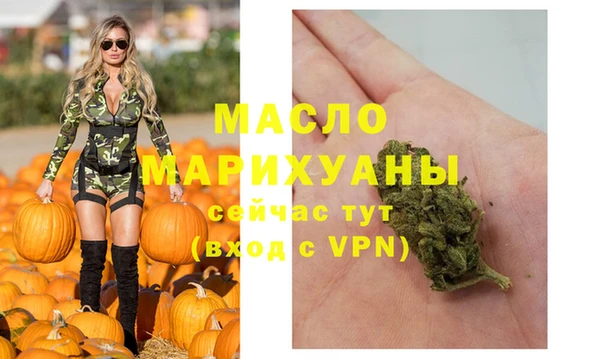 МДПВ Каменногорск