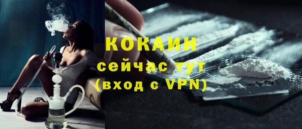МДПВ Каменногорск